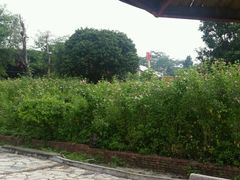-松山湖梦幻百花洲