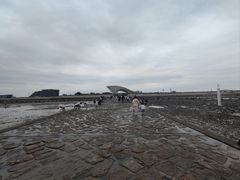 -南汇嘴观海公园