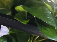 -小于烧烤海鲜·皖南明档土菜(丰庄店)