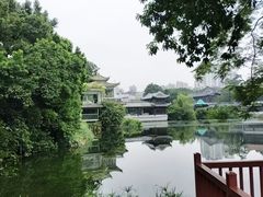 -荔湾湖公园