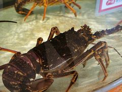 -万龙洲海鲜(大兴绿地缤纷城店)