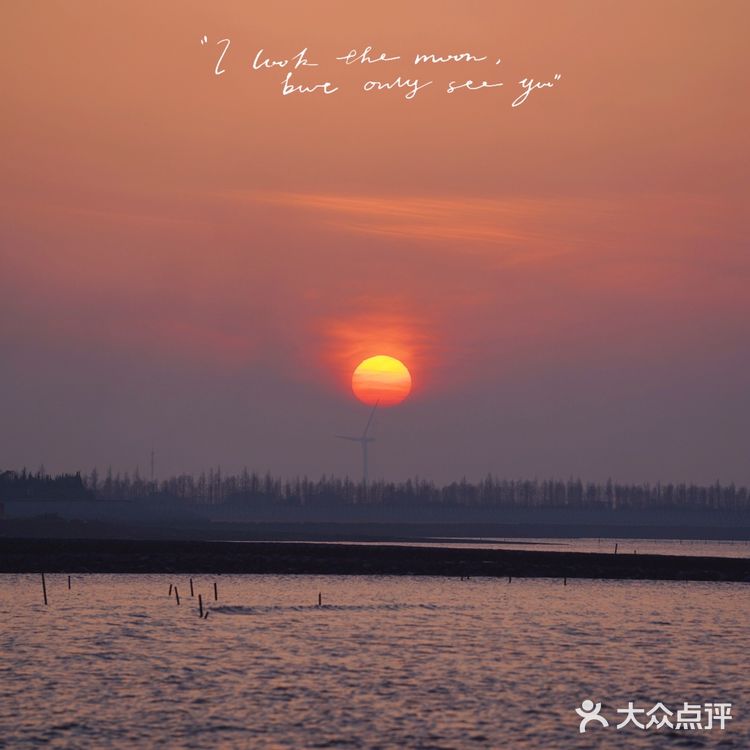 一定要来横沙岛看一场江边日落🌅