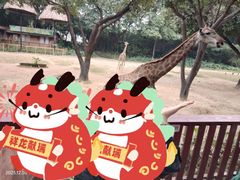 -广州长隆野生动物世界
