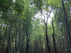 -西湖风景区十里琅珰-五云山