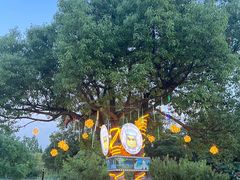 -汤山温泉房车营地 茶温泉