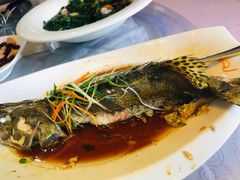 -金星大酒店(东街店)