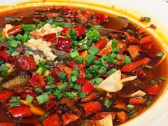 -院8里·少城记忆老川菜(宽窄巷子店)