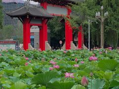 -四川大学(望江校区)