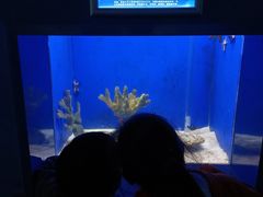 -常州海昌海洋探索馆