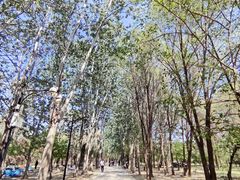 -廊坊市自然公园