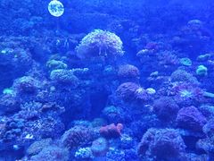 -太平洋海底世界