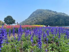 -广州市石门国家森林公园