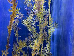 -波塞冬旅游度假区