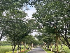 -长田漾湿地公园