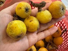 -苏州吴中太湖旅游区