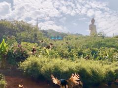 -西双版纳勐泐文化旅游区