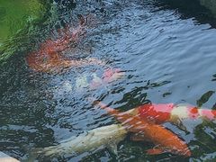 -西安市广仁寺