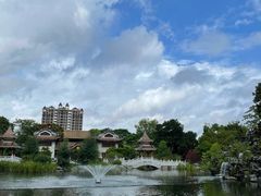 -顺峰山公园