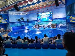 -多彩贵州城极地海洋世界