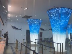 -深海中餐厅(国家海洋博物馆店)