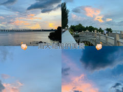 -宝安西湾红树林湿地公园