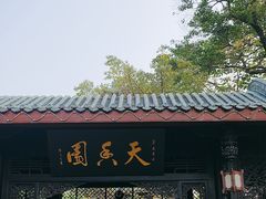 -桂湖森林公园