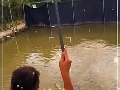 -会江钓鱼钓虾烧烤场