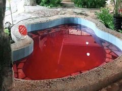 -兴芮温泉度假区