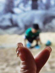 -恐龙探索乐园(磁器口店)