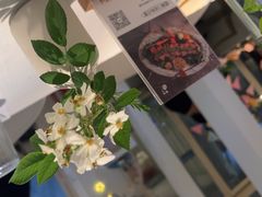 -春树下·树屋花房西餐厅(罍街AS1980店)