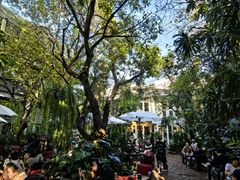 户外环境-Fern Forest Cafe