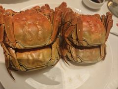 -洋洋中餐馆·SINCE 1997(信投店)