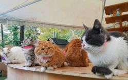 -萌宠亲子动物乐园(槐房万达店)