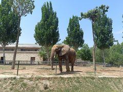 -石家庄市动物园