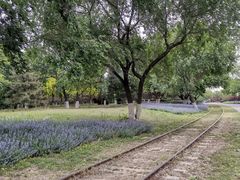 -永定河休闲森林公园