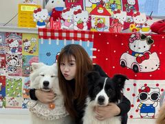 -汪说·狗咖·拼豆·宠物周边DIY(旺城大厦店)