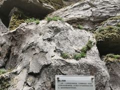 -房山世界地质公园博物馆