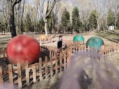 -森林公园(尖草坪区)