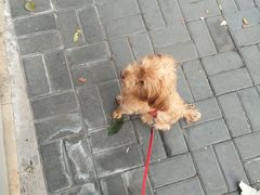 -味多美蛋糕(洋桥店)