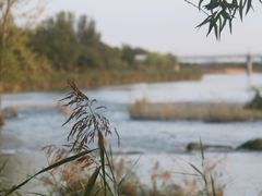 -绿堤公园