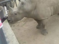 -哈尔滨北方森林动物园