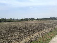 -嘉北郊野公园