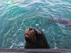-大连老虎滩海洋公园