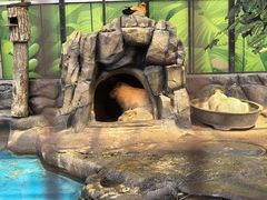 -海合安成都极地海洋公园