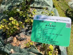 -广东中医药博物馆