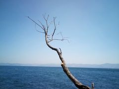 -抚仙湖禄充风景区