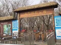 -西青郊野公园