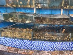 -蟹谢蒸鲜自助餐厅