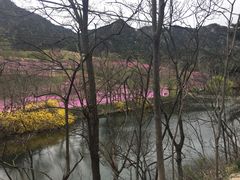 -烟台华鑫上汽大众4S店(机场路店)