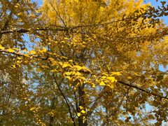 -元大都城垣遗址公园